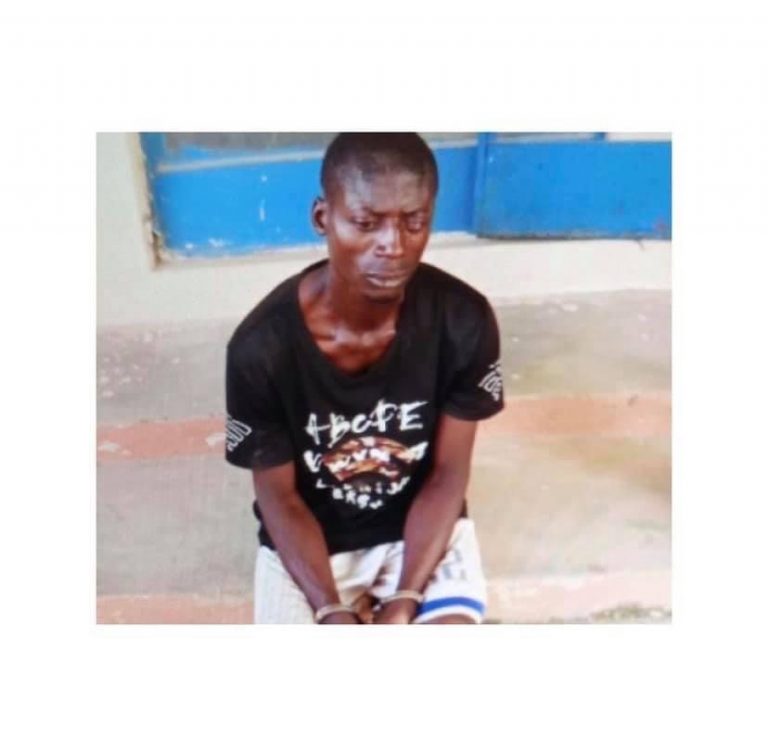 FA03923F-D6EF-48E0-ABEA-EEEA634C7404